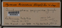 Image Associated With the Occurence